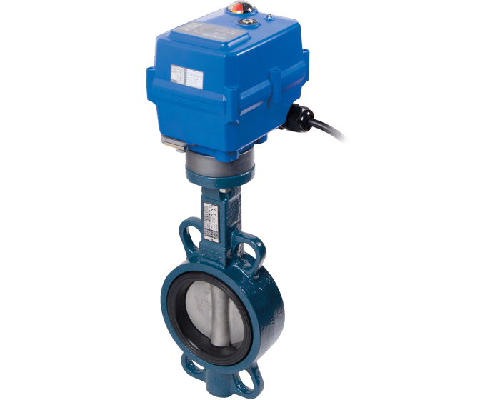 Ductile iron butterfly valve 1123 DN40 + TCR-05N 24V AC/DC